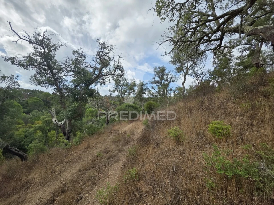 Terreno para Venda em Melides Foto 12