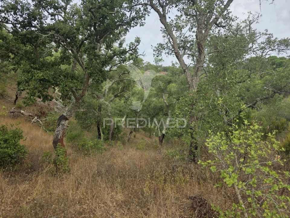 Terreno para Venda em Melides Foto 7