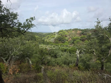 Terreno para Venda em Melides
