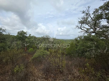 Terreno para Venda em Melides