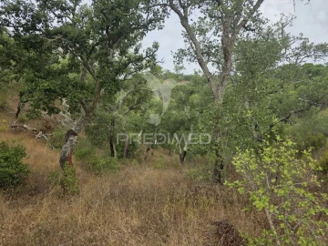 Terreno para Venda em Melides