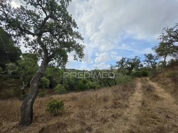 Terreno para Venda em Melides
