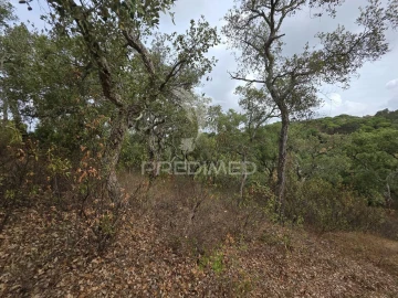 Terreno para Venda em Melides