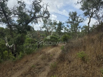 Terreno para Venda em Melides