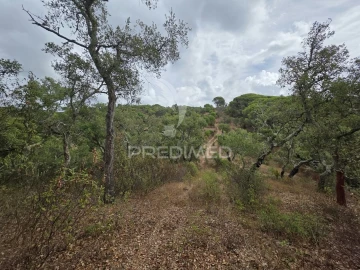 Terreno para Venda em Melides