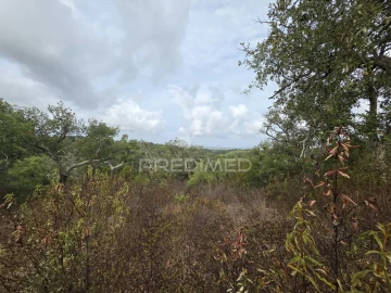 Terreno para Venda em Melides