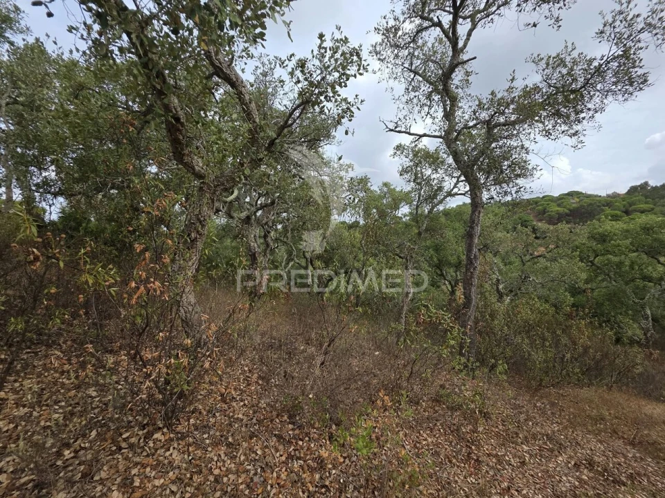 Terreno para Venda em Melides Foto 21