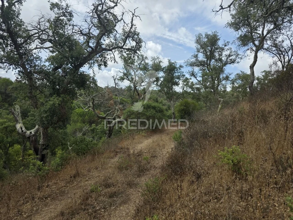 Terreno para Venda em Melides Foto 13