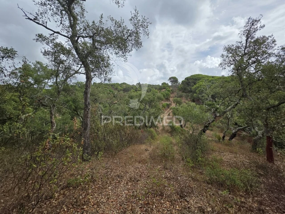 Terreno para Venda em Melides Foto 25