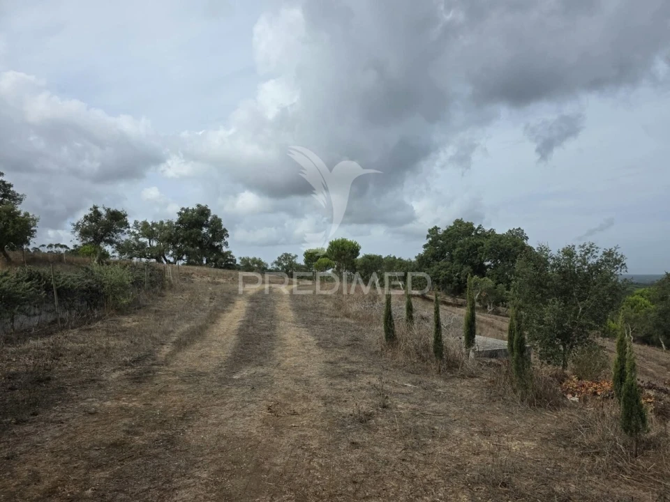 Terreno para Venda em Melides Foto 3