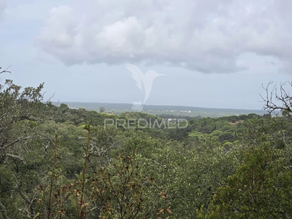 Terreno para Venda em Melides Foto 2