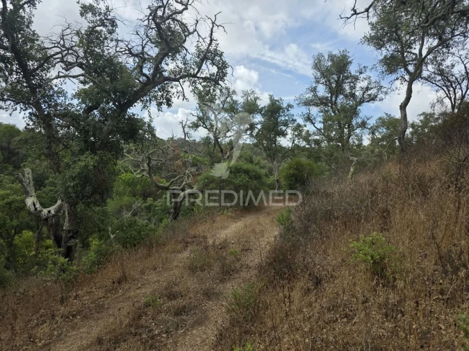 Terreno para Venda em Melides Foto 13