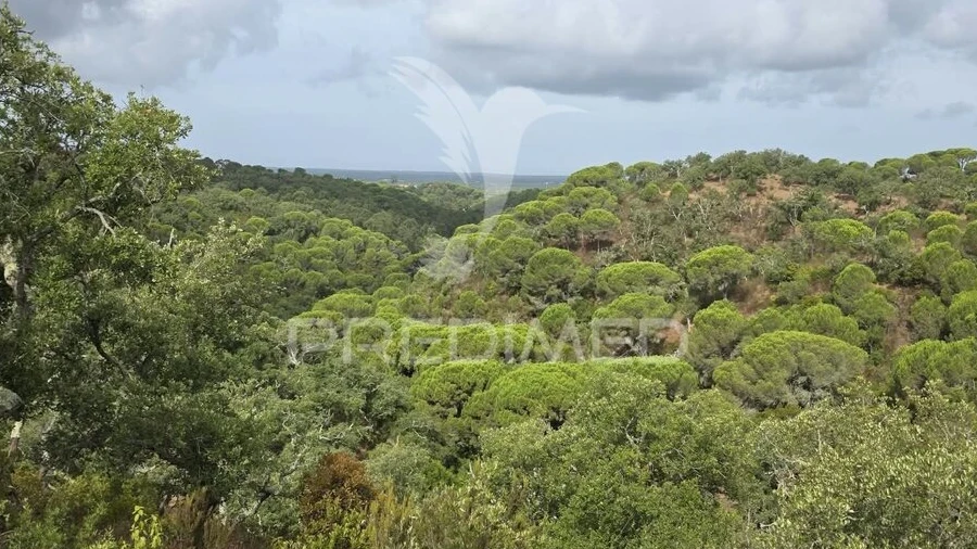 Terreno para Venda em Melides