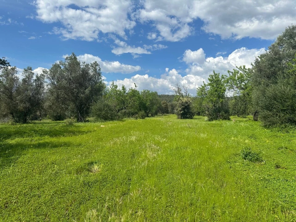 Terreno para Venda em Paderne Foto 1