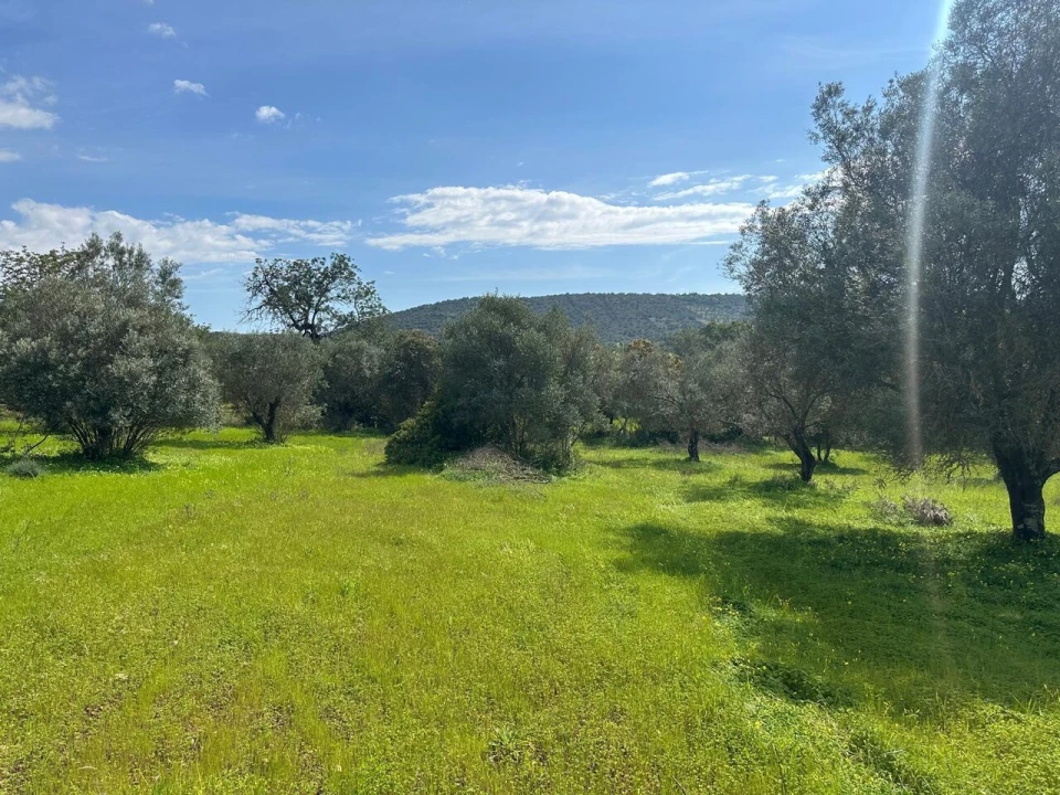 Terreno para Venda em Paderne Foto 2