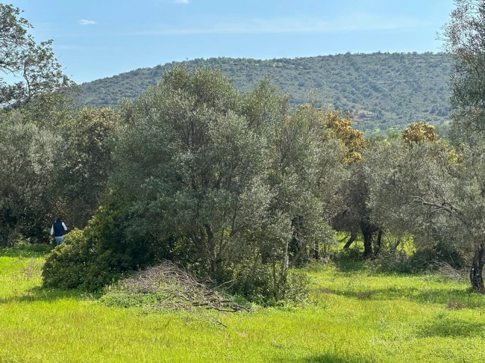 Terreno para Venda em Paderne Foto 3