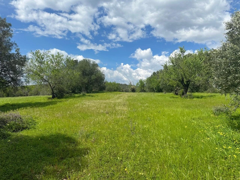 Terreno para Venda em Paderne Foto 4