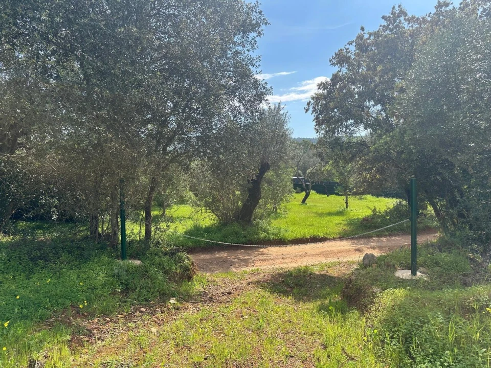 Terreno para Venda em Paderne Foto 5