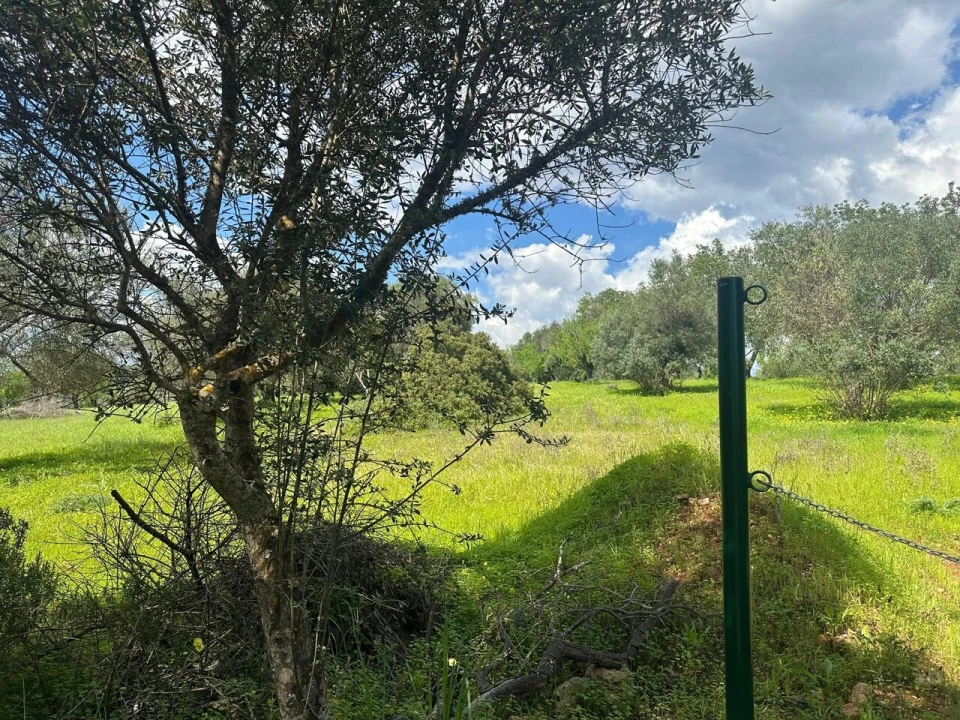 Terreno para Venda em Paderne Foto 7