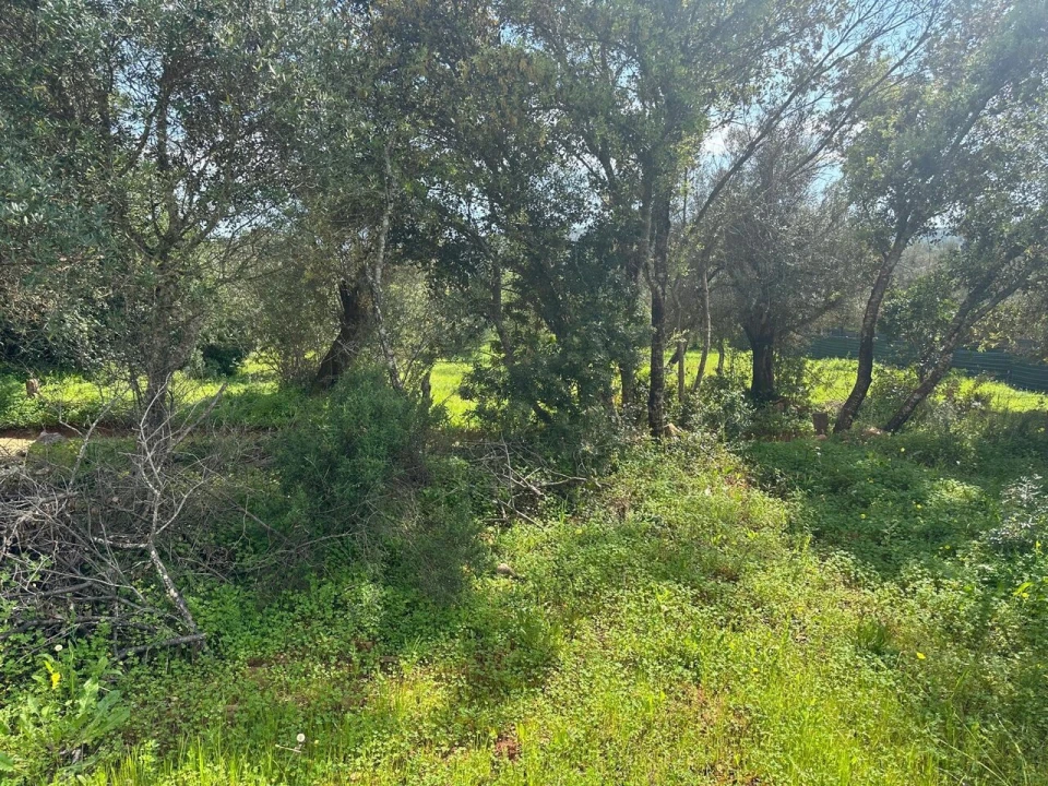 Terreno para Venda em Paderne Foto 8