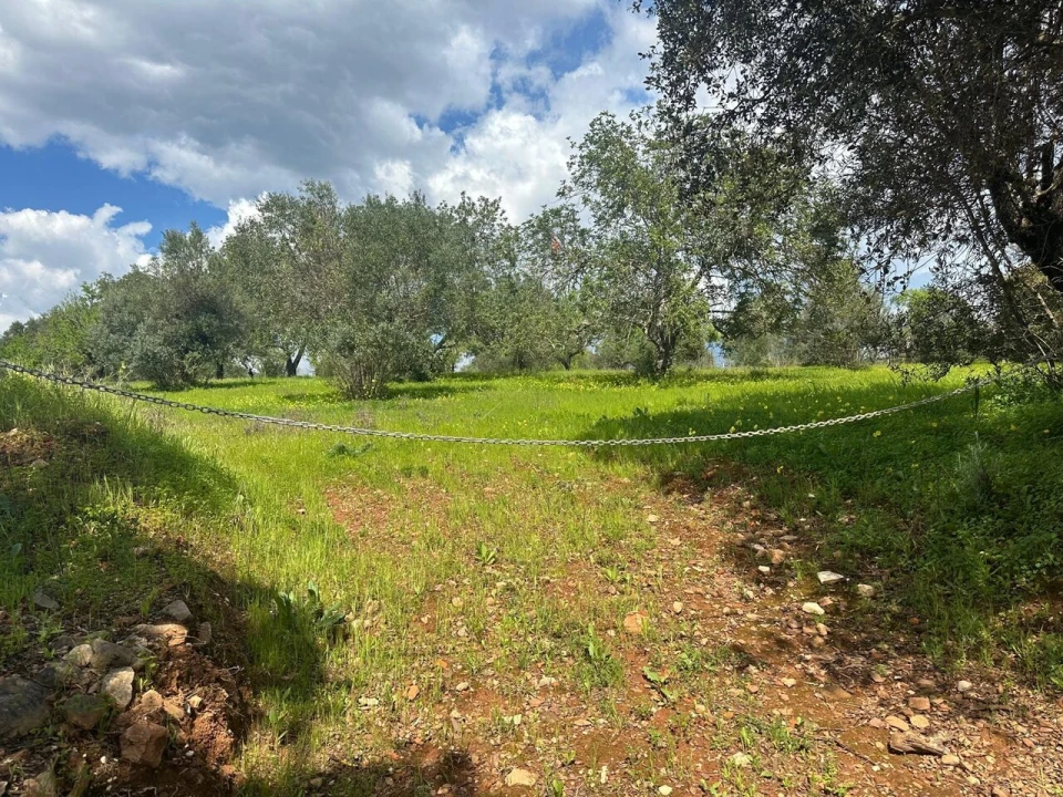 Terreno para Venda em Paderne Foto 9