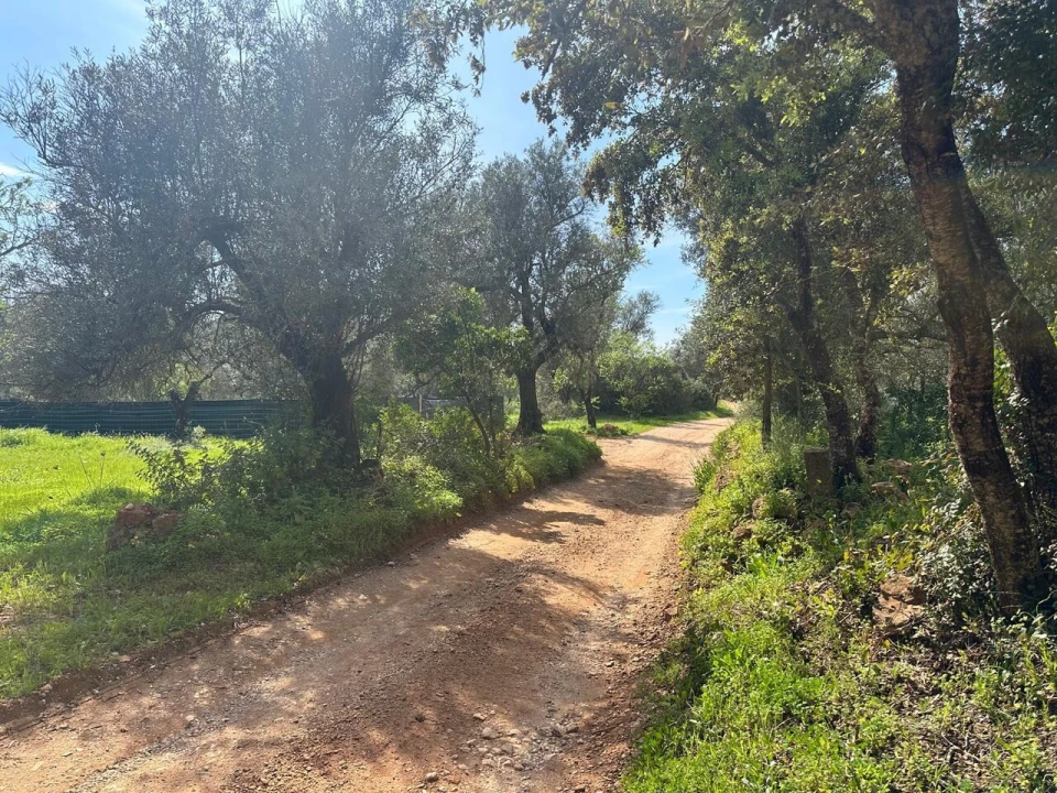 Terreno para Venda em Paderne Foto 12
