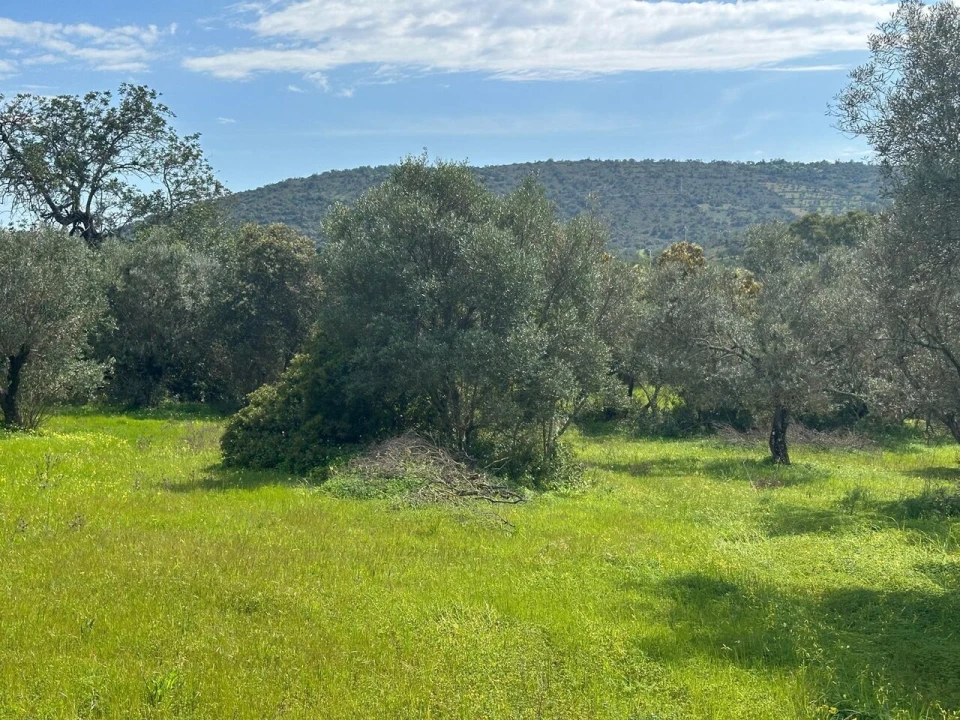 Terreno para Venda em Paderne Foto 11