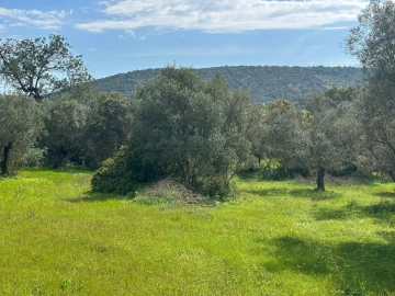 Terreno para Venda em Paderne
