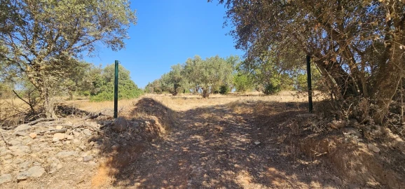 Terreno para Venda em Paderne