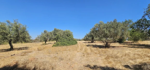 Terreno para Venda em Paderne