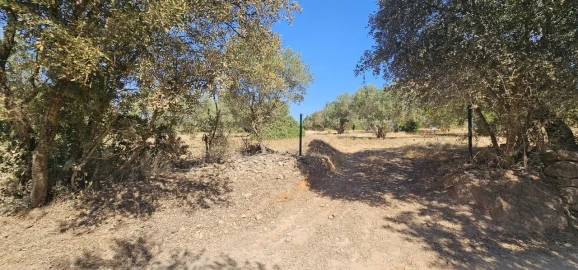 Terreno para Venda em Paderne