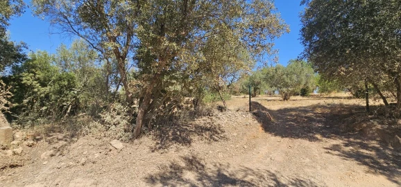 Terreno para Venda em Paderne