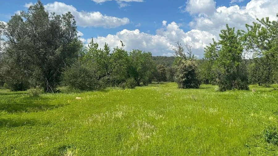 Terreno para Venda em Paderne