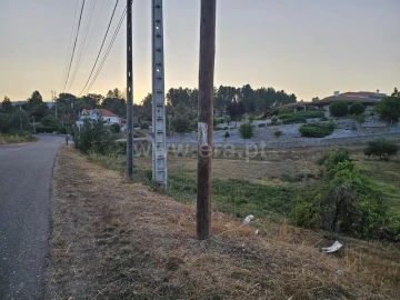 Terreno para Venda em Silvares