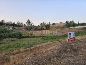 Terreno para Venda em Silvares