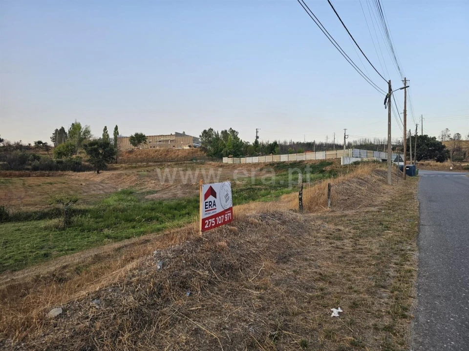 Terreno para Venda em Silvares Foto 5