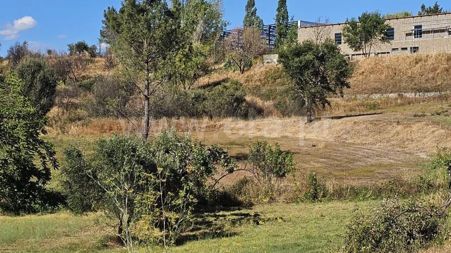 Terreno para Venda em Silvares