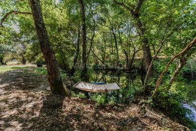 Quinta T6 para Venda em Faia