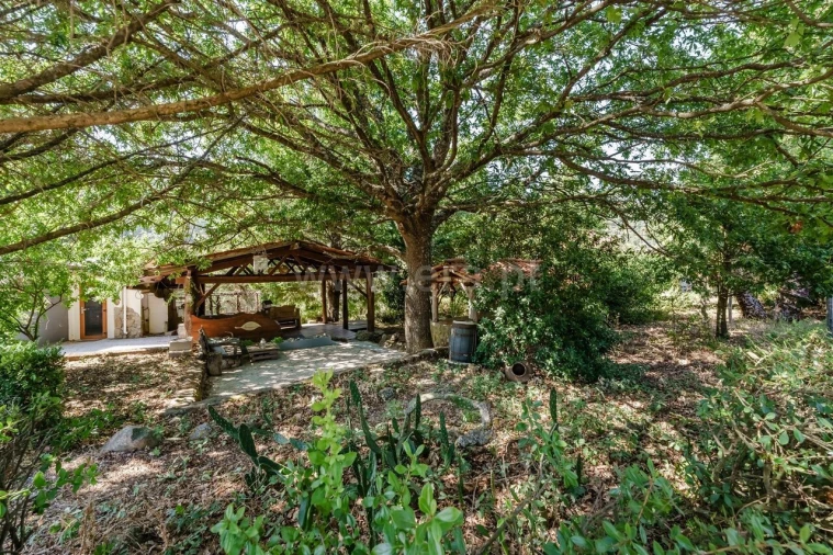 Quinta T6 para Venda em Faia Foto 14