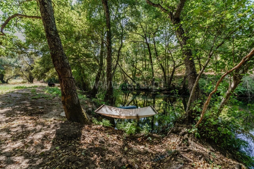 Quinta T6 para Venda em Faia Foto 16