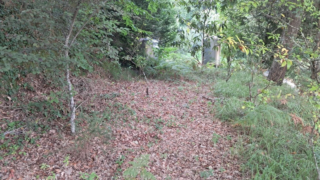 Moradia T3 para Venda em Varzea Foto 46