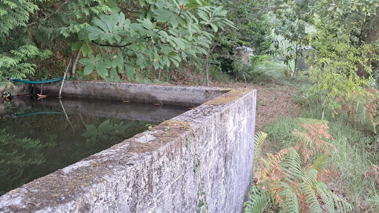 Moradia T3 para Venda em Varzea Foto 49