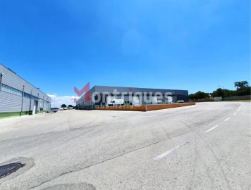 Armazém para Arrendamento em Gambia-Pontes-Alto da Guerra