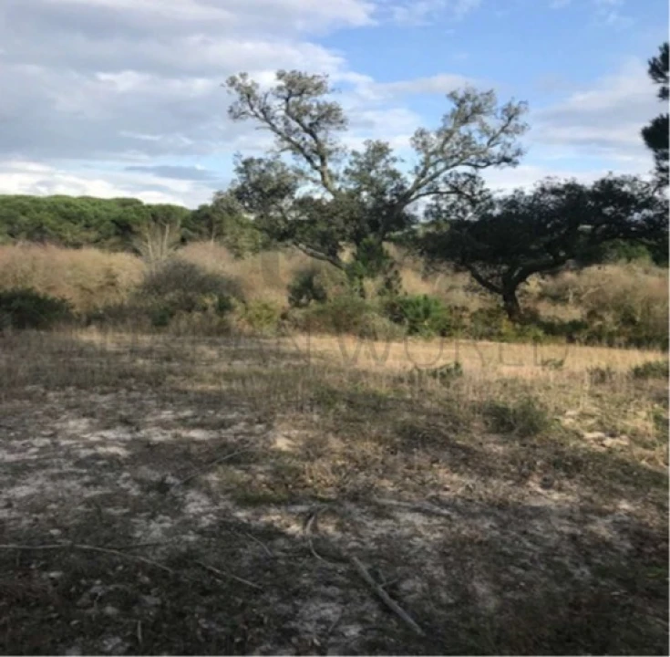 Quinta para Venda em Alcochete Foto 3
