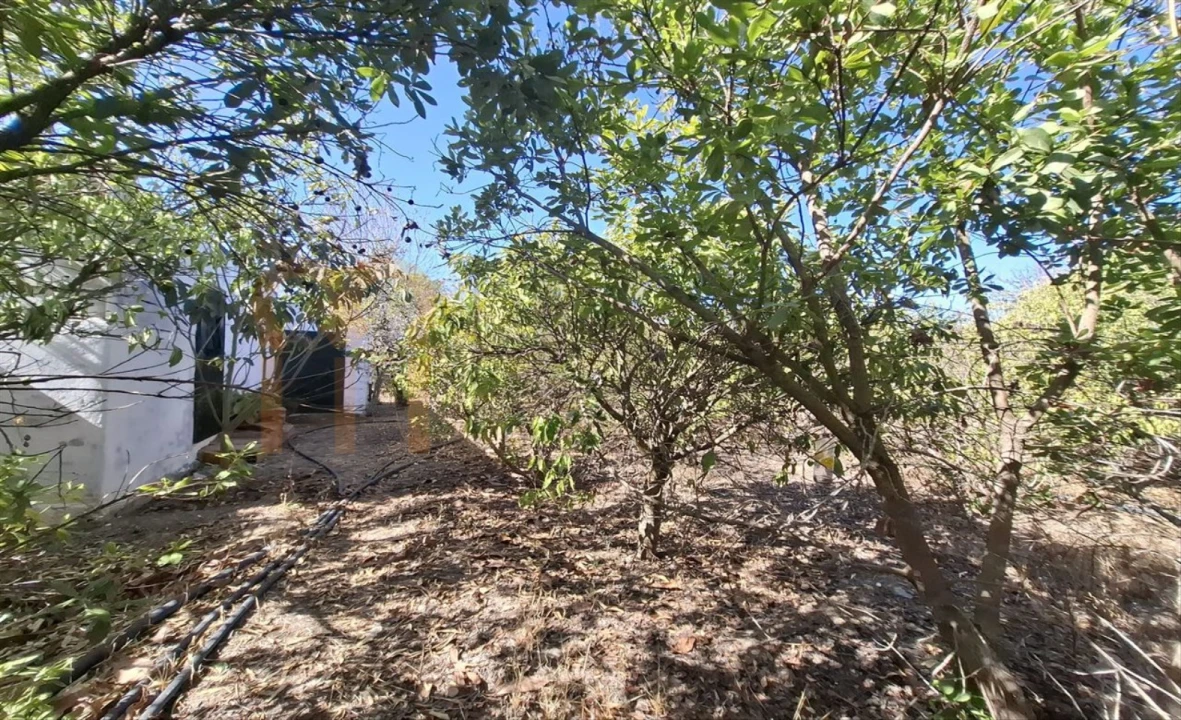 Terreno Agricola ou Rústico para Venda em Entradas Foto 6