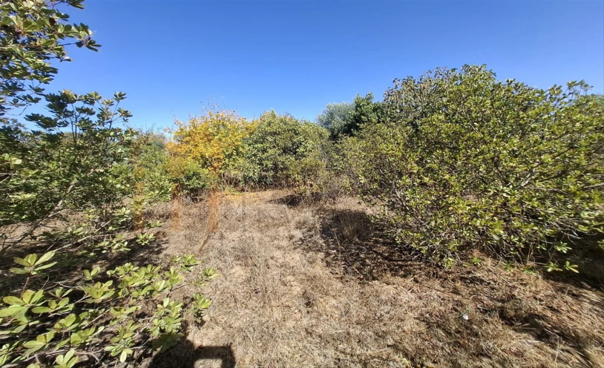 Terreno Agricola ou Rústico para Venda em Entradas Foto 15