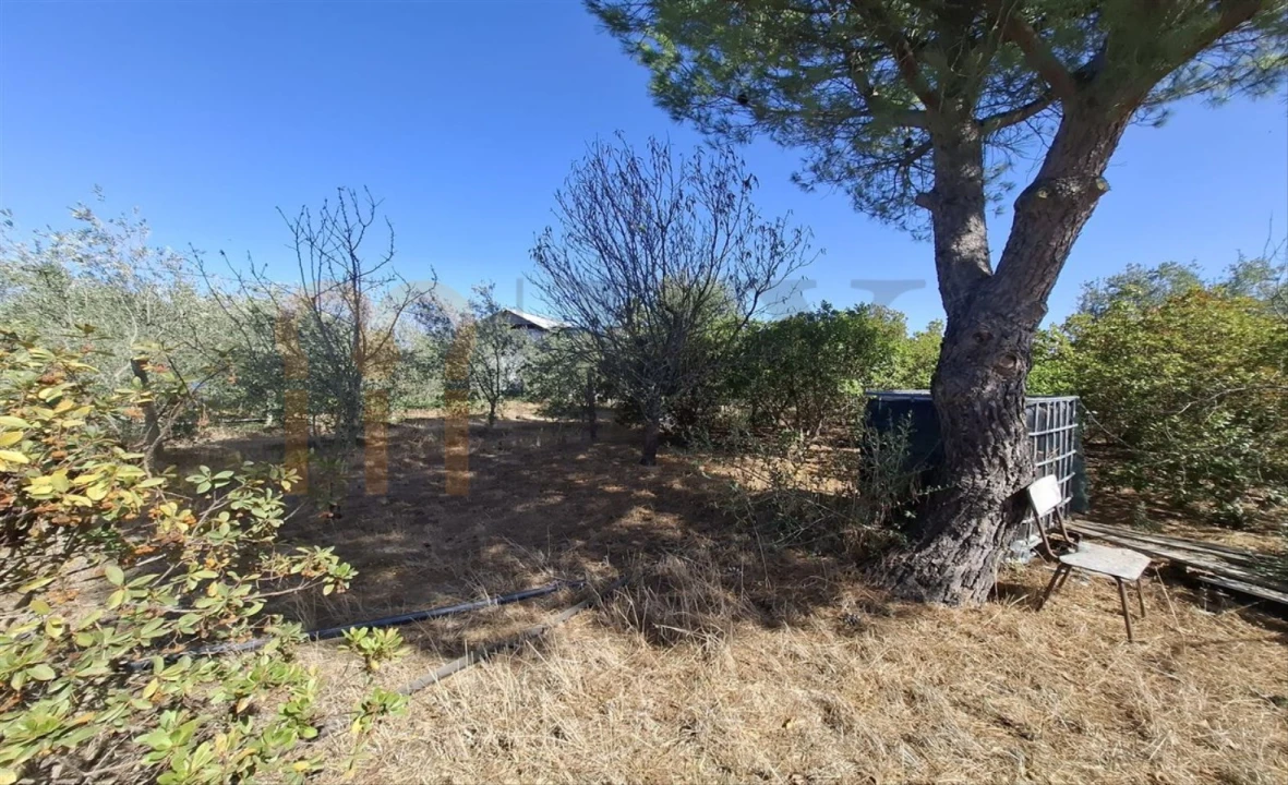 Terreno Agricola ou Rústico para Venda em Entradas Foto 18