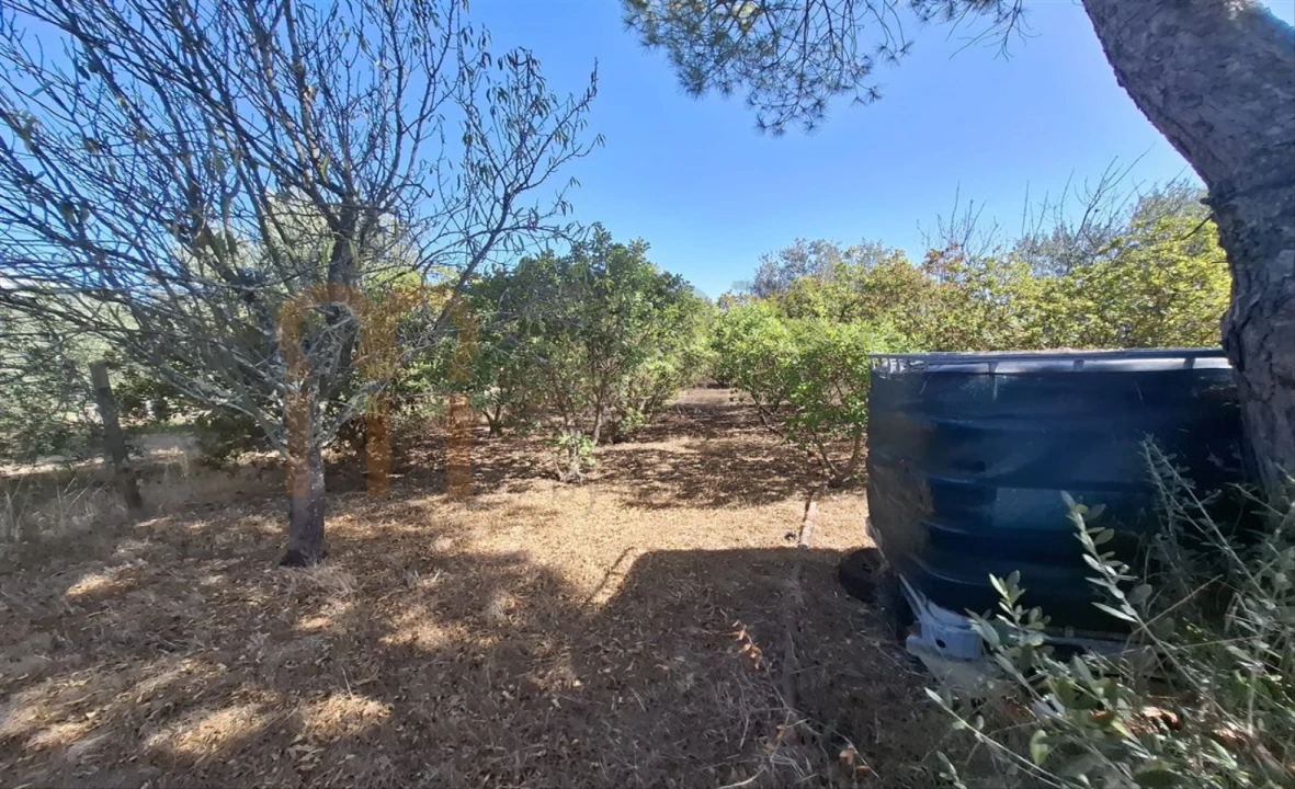 Terreno Agricola ou Rústico para Venda em Entradas Foto 19