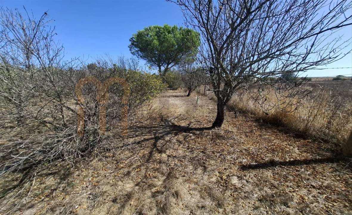 Terreno Agricola ou Rústico para Venda em Entradas Foto 20