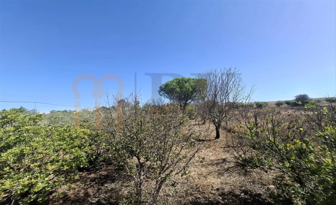 Terreno Agricola ou Rústico para Venda em Entradas Foto 21
